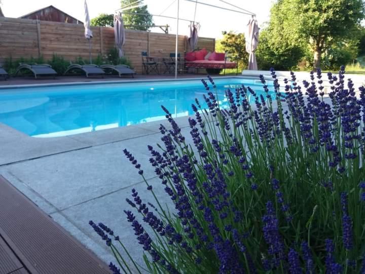 Chambres D Hotes ,Hotel ,Secret D'Une Nuit A Vicq Pres De Onnaing,Avec Piscine Екстериор снимка