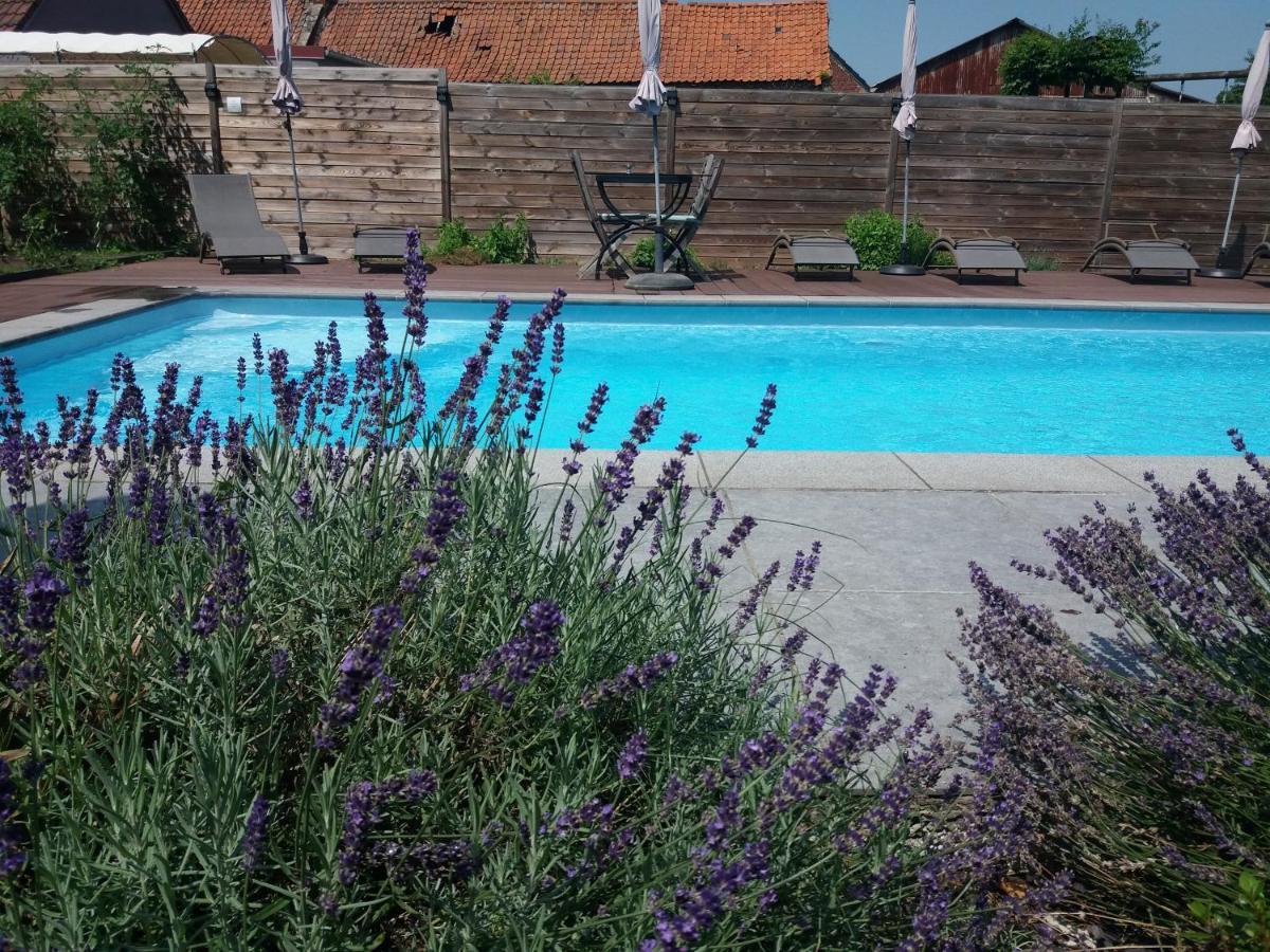 Chambres D Hotes ,Hotel ,Secret D'Une Nuit A Vicq Pres De Onnaing,Avec Piscine Екстериор снимка